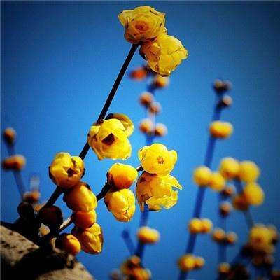 PG麻将胡了免费版app下载